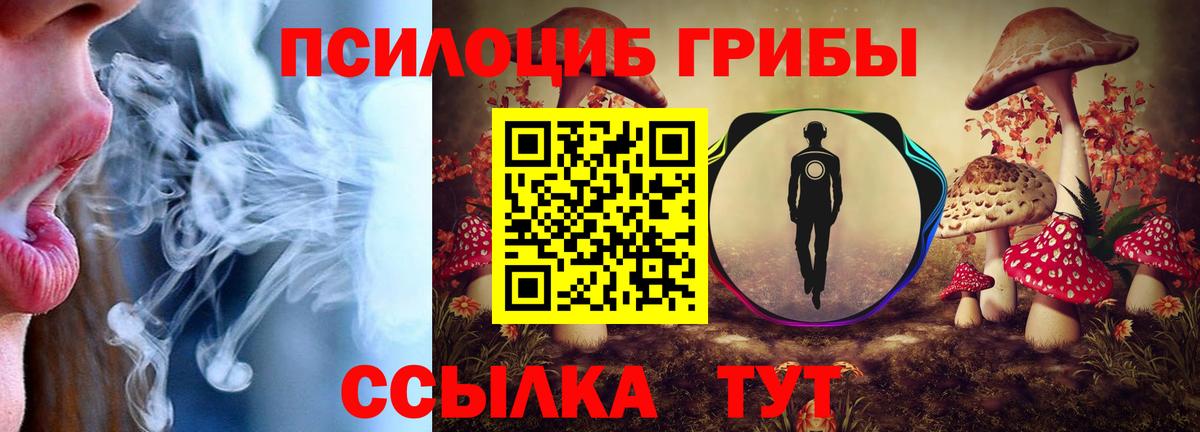 Галлюциногенные грибы ЛСД  Вход с VPN  Каменск-Шахтинский 